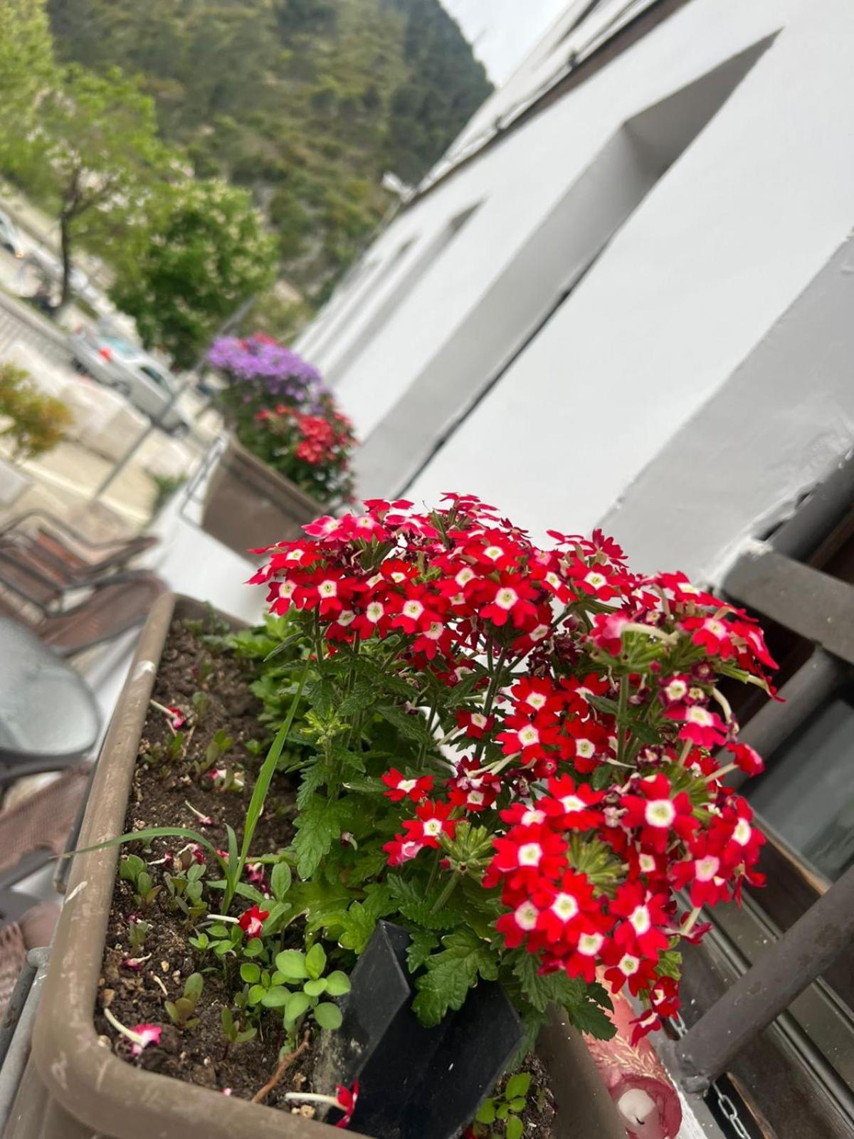 Hotel Omer Berat Room photo